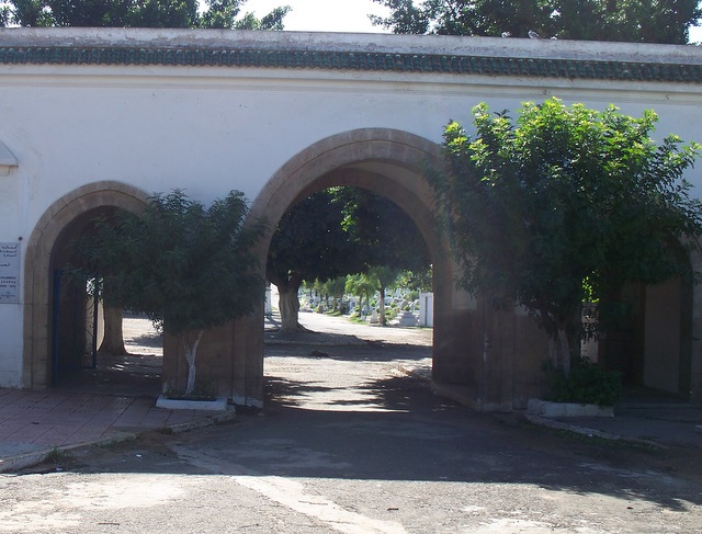 cemetery photo