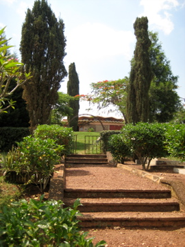 cemetery photo