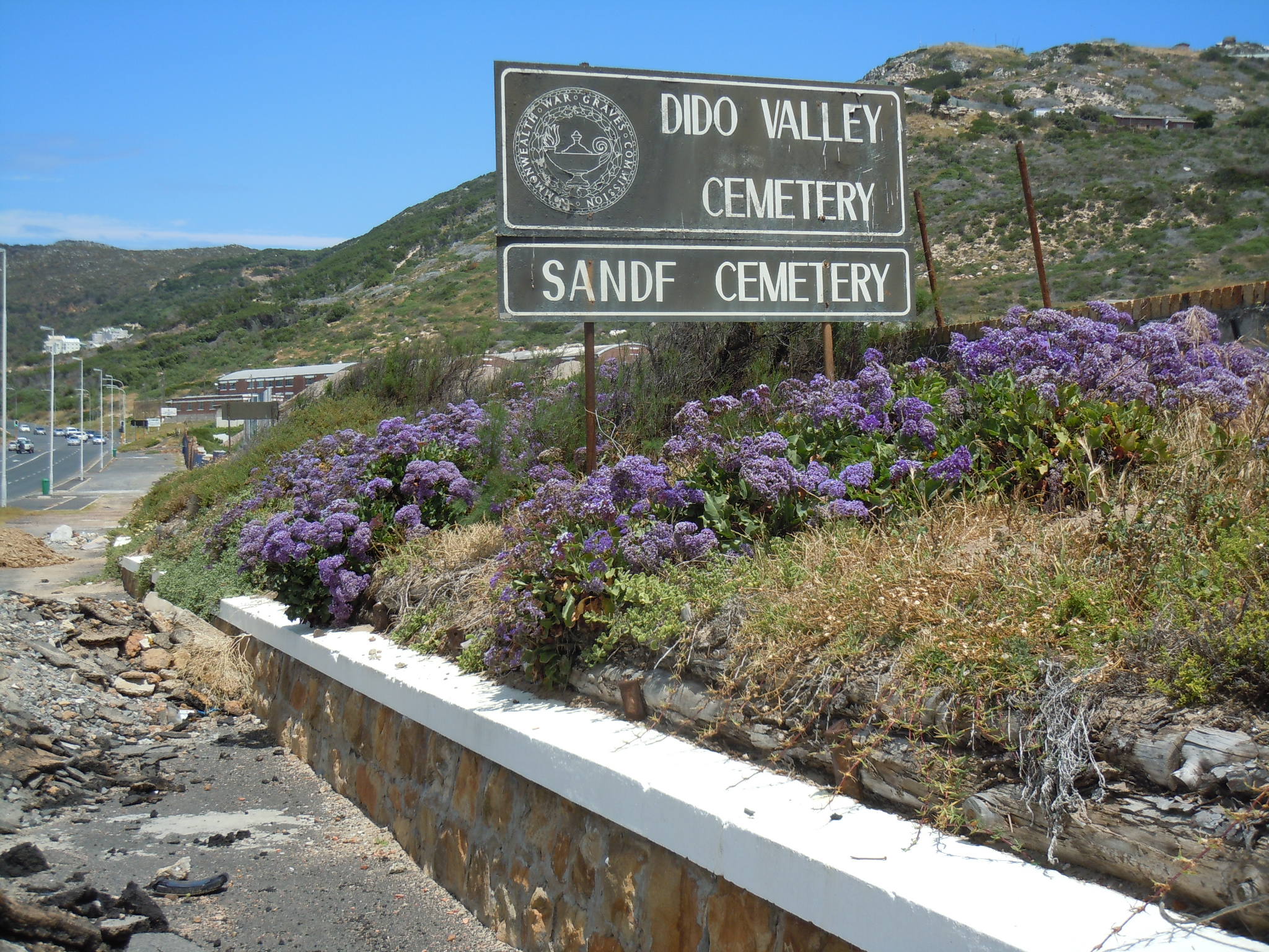 cemetery photo