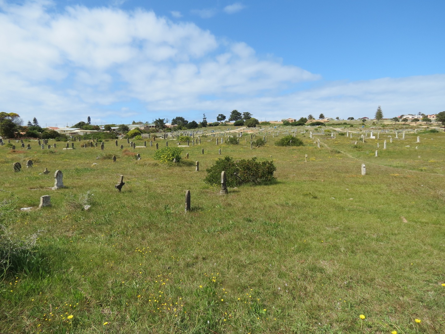 cemetery photo