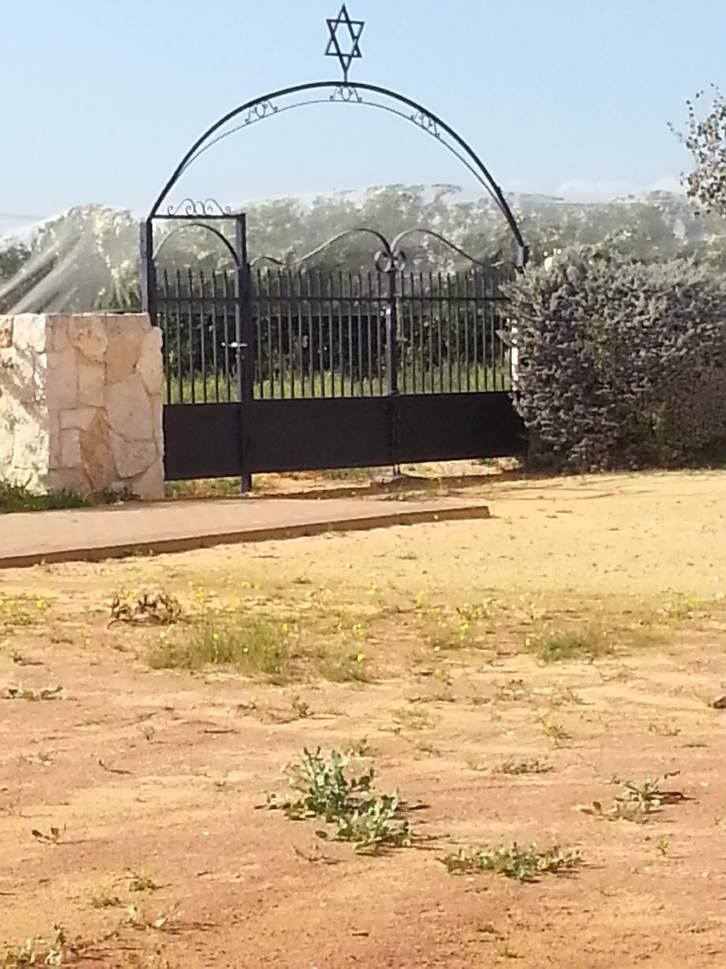 cemetery photo