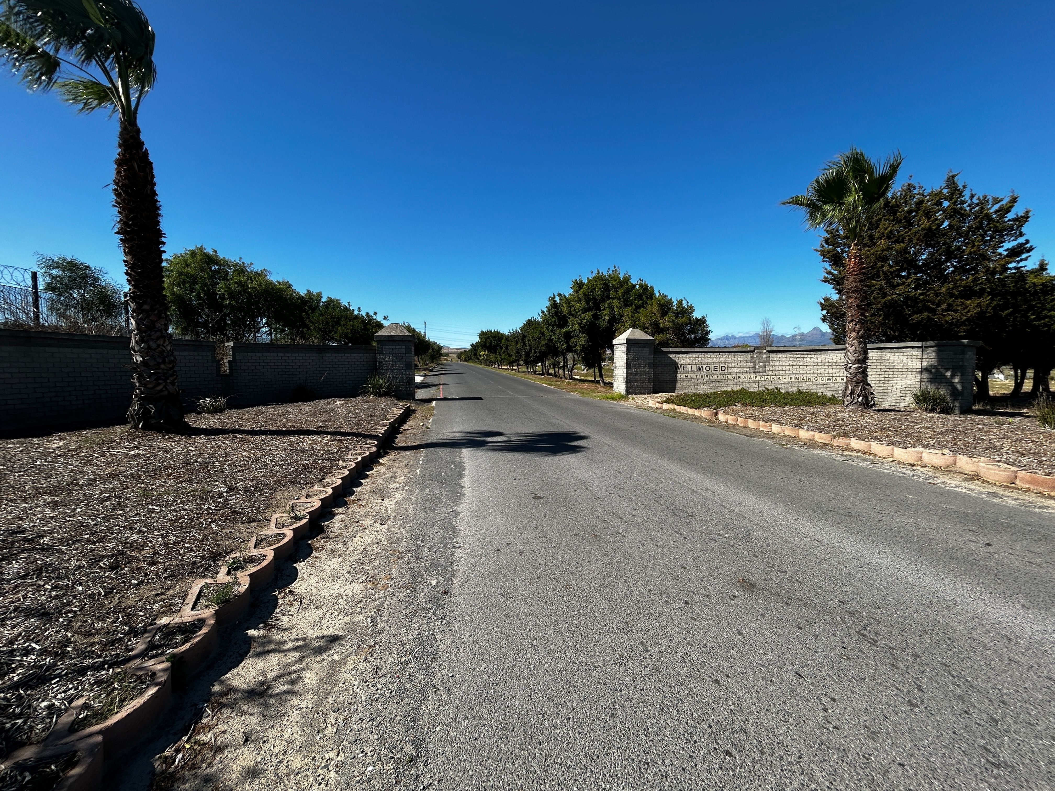 cemetery photo