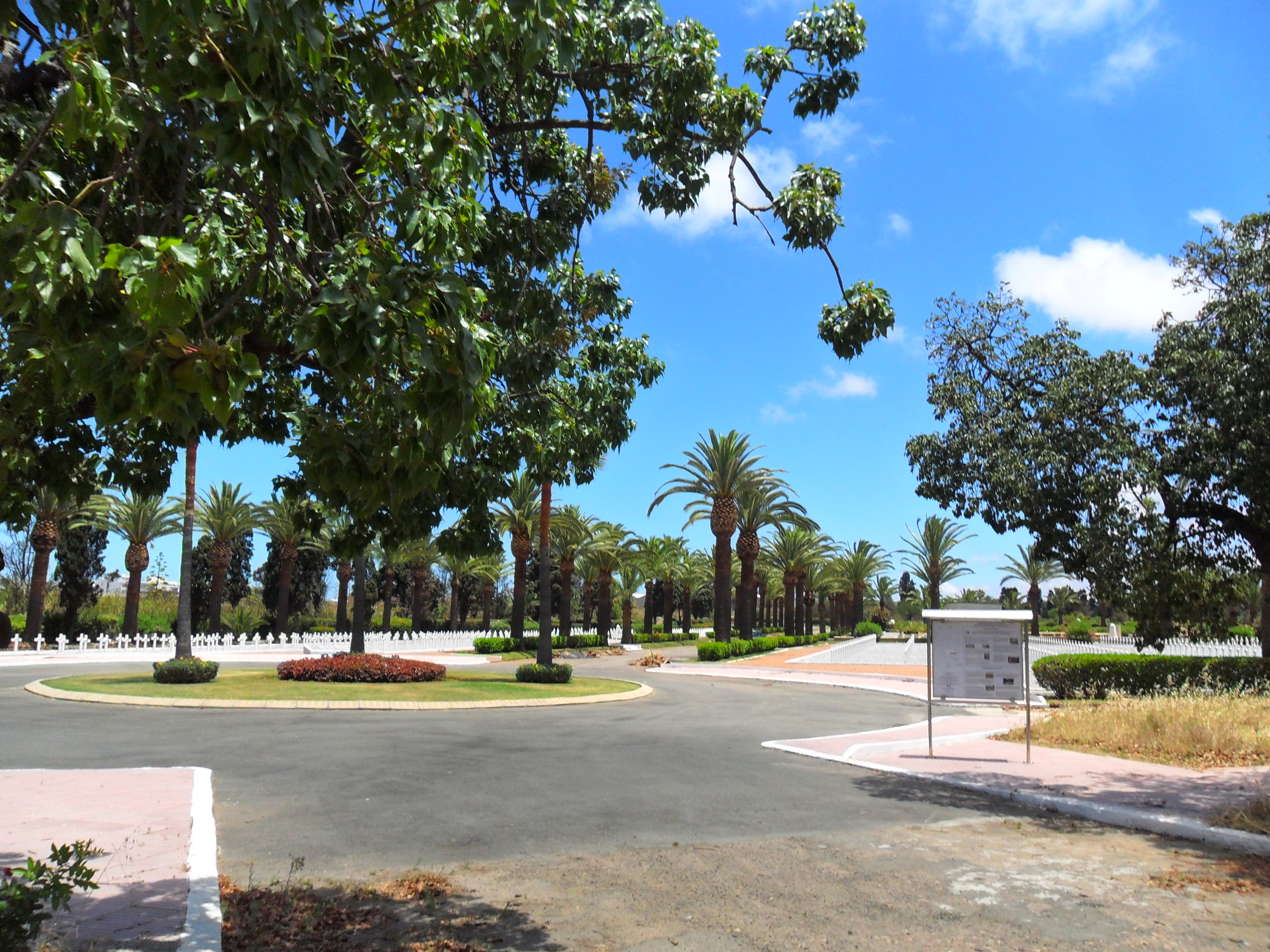 cemetery photo