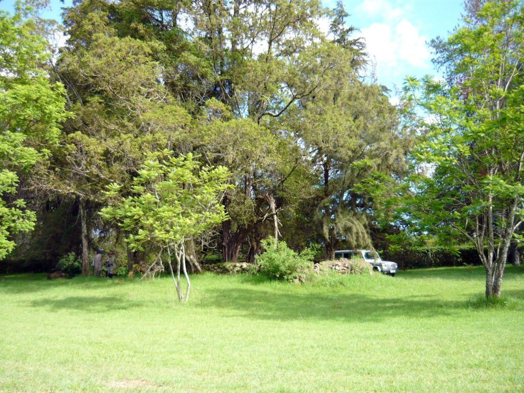 cemetery photo