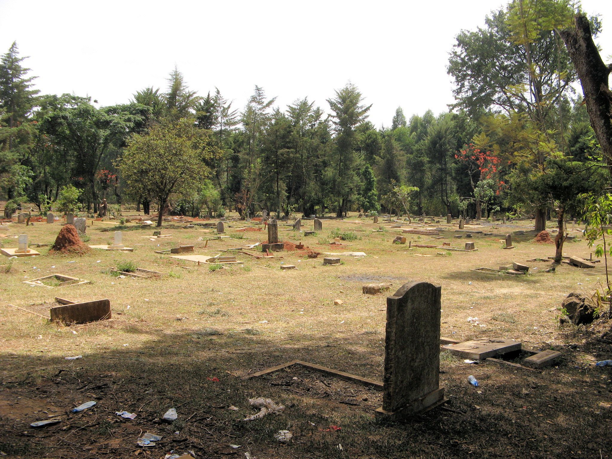 cemetery photo