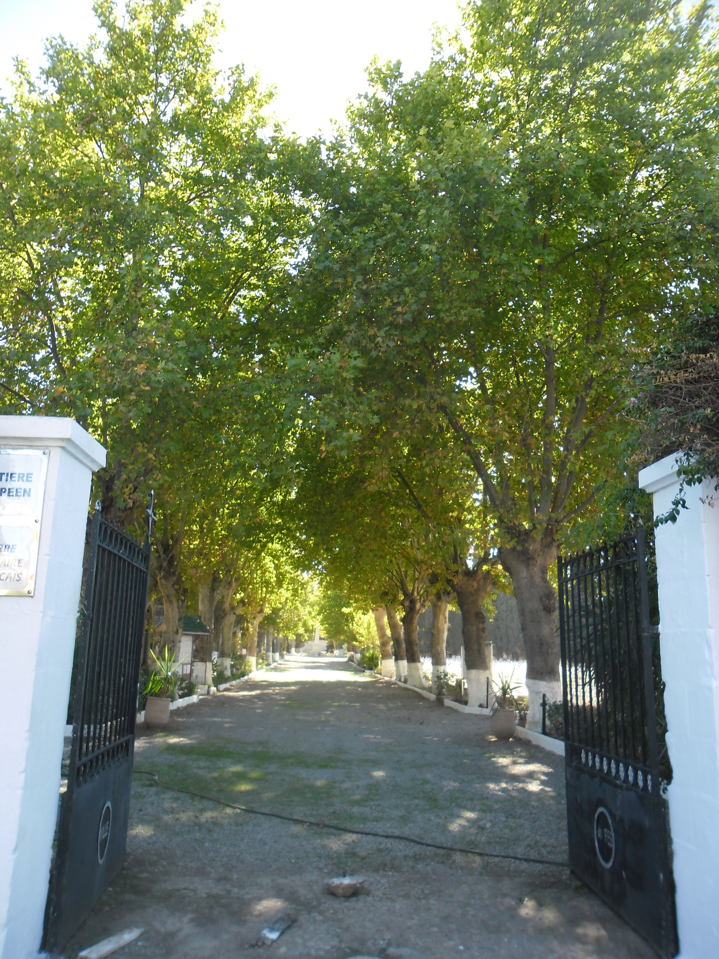 cemetery photo