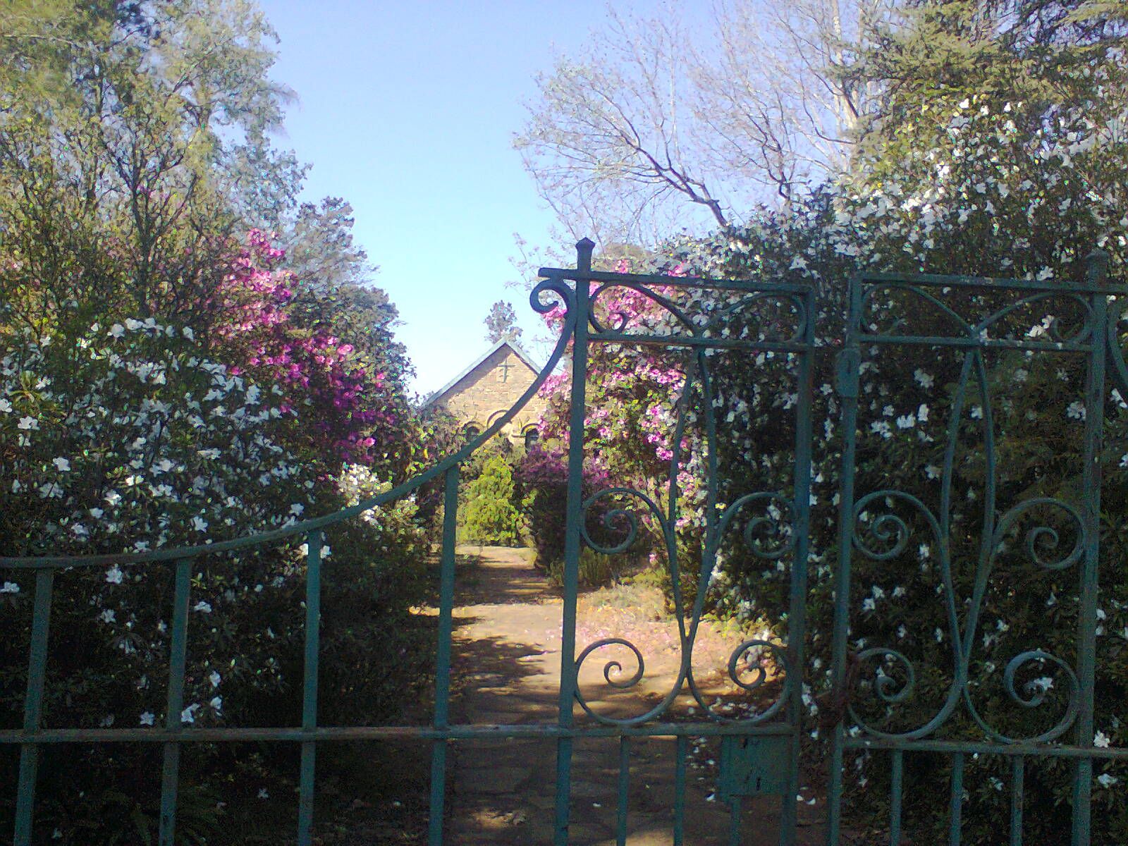 cemetery photo