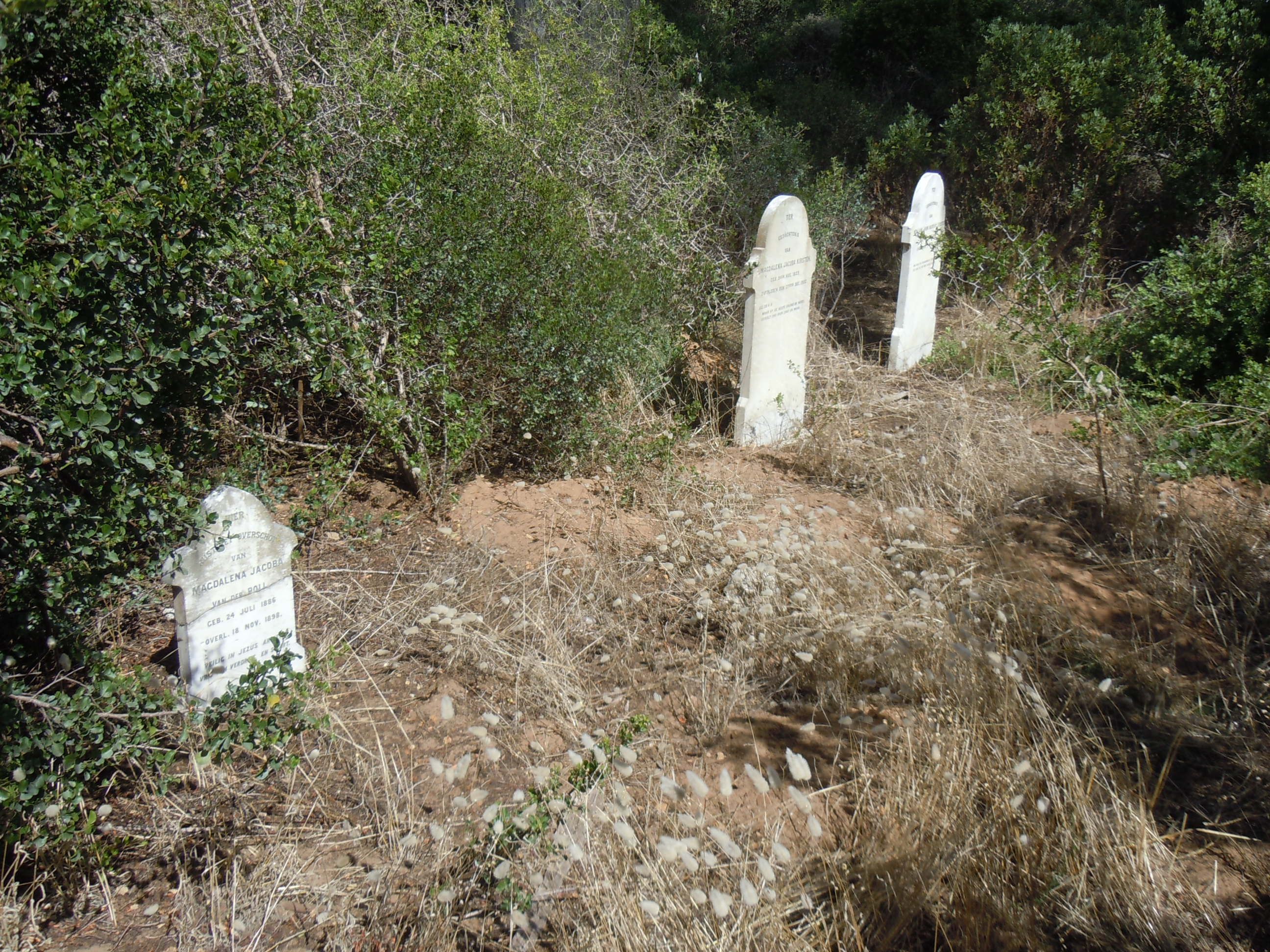 cemetery photo