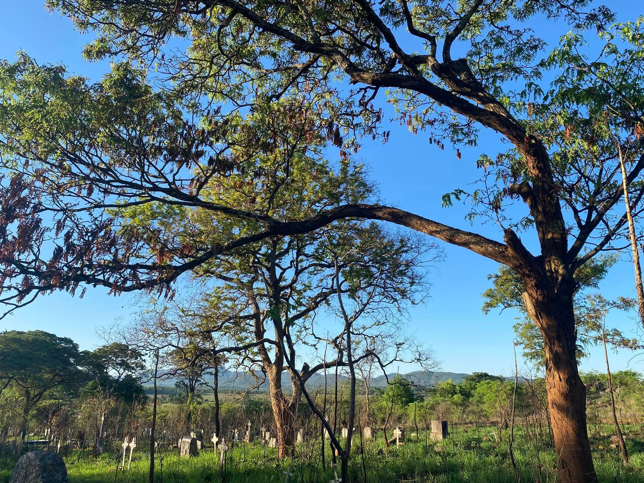 cemetery photo