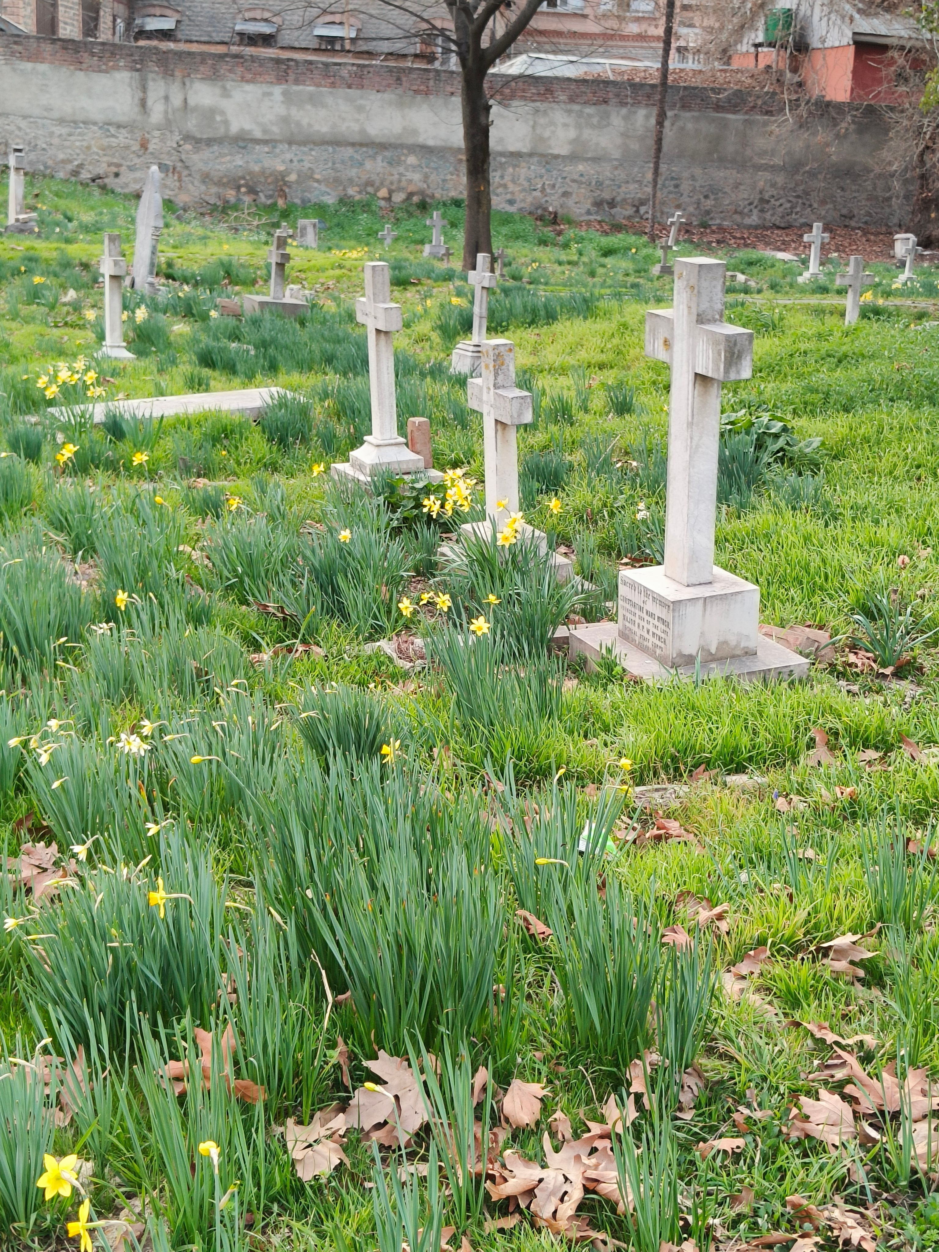 cemetery photo