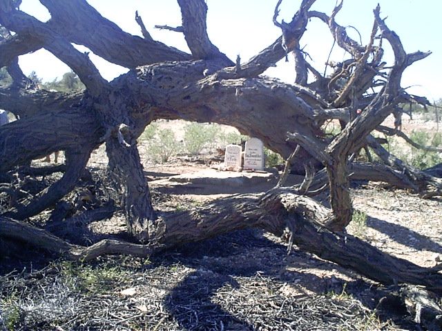 cemetery photo