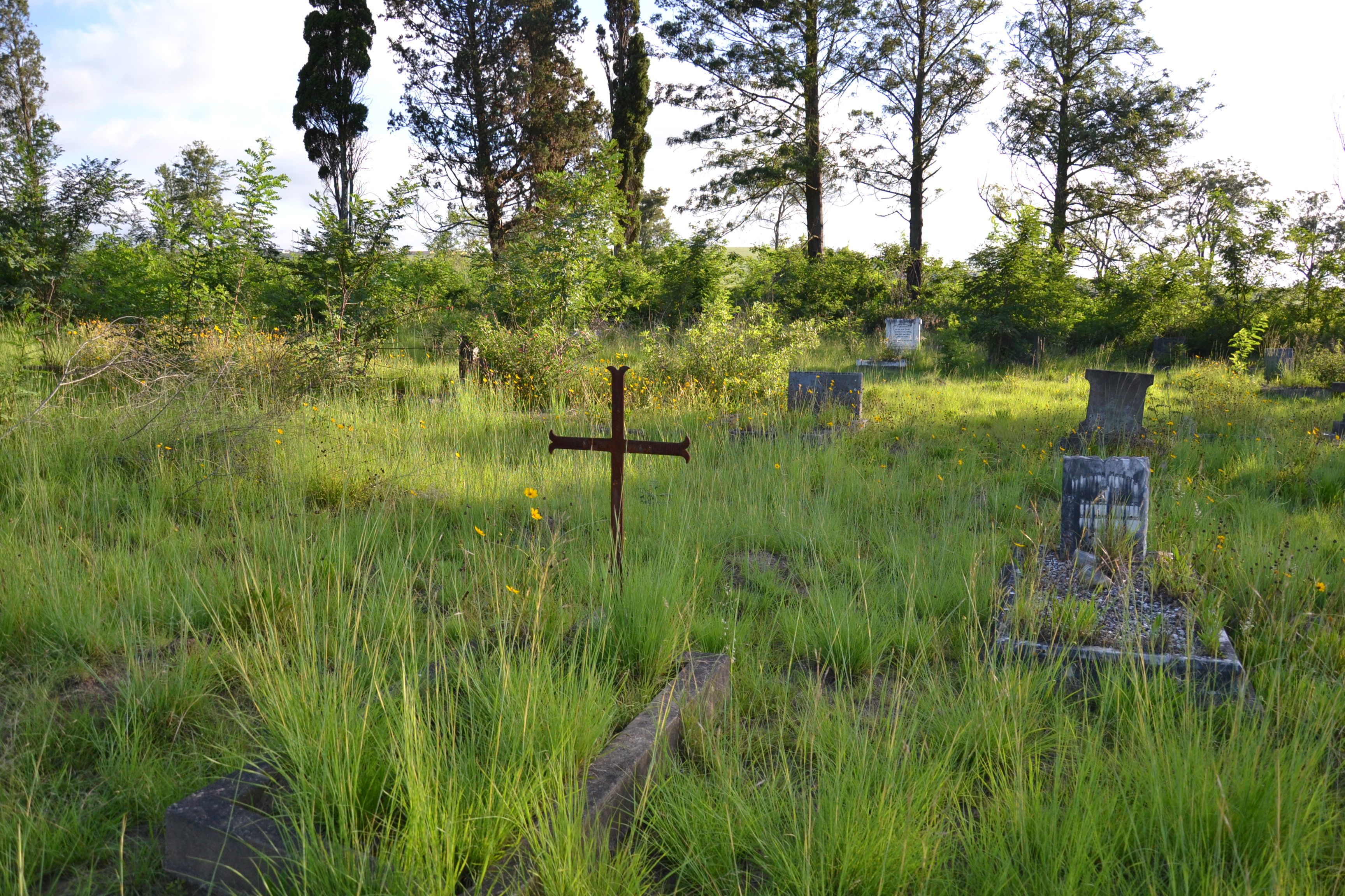 cemetery photo