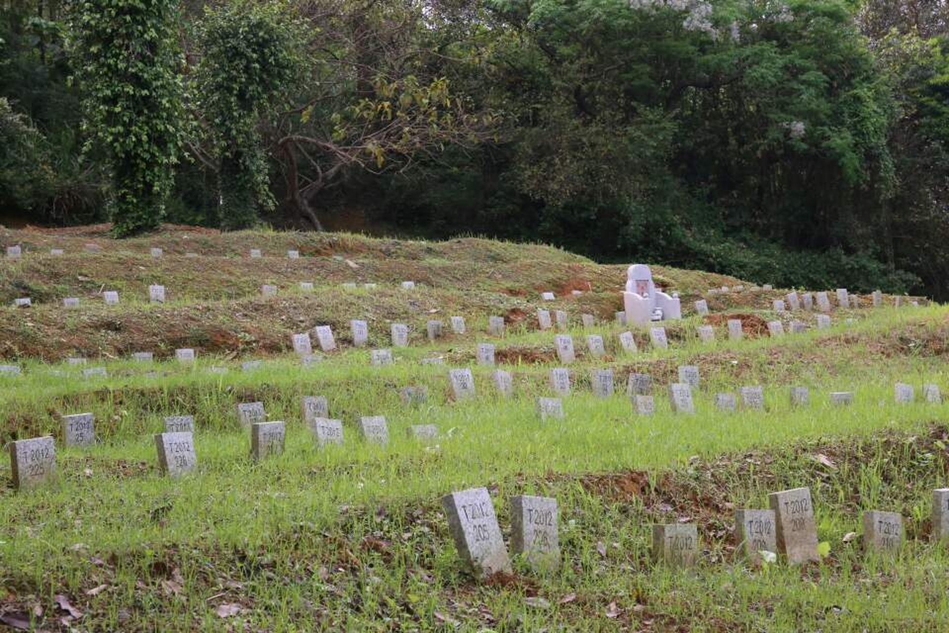 cemetery photo