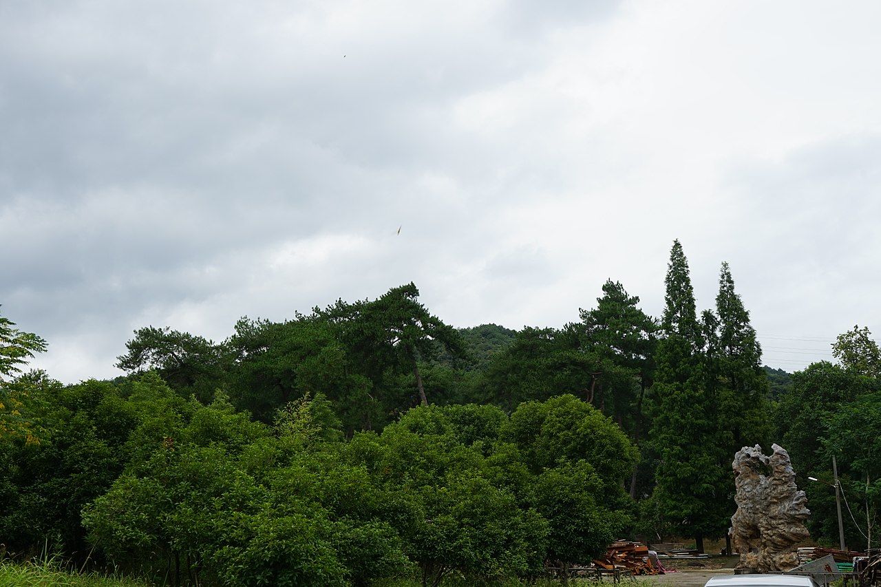 cemetery photo