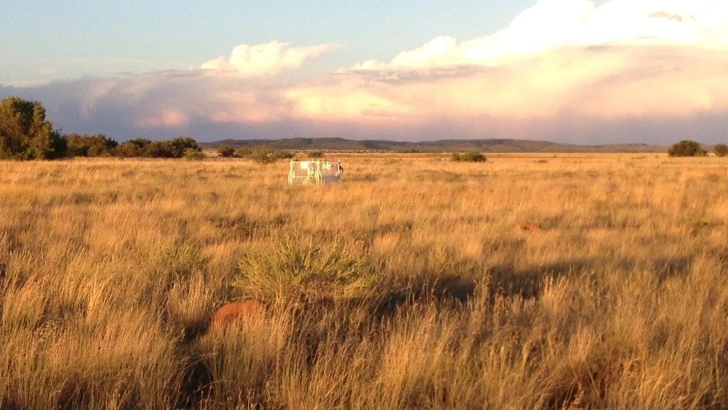 cemetery photo