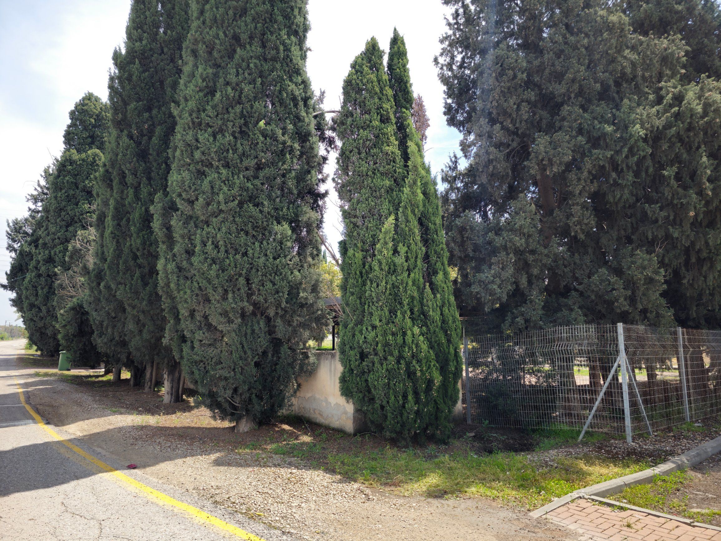 cemetery photo