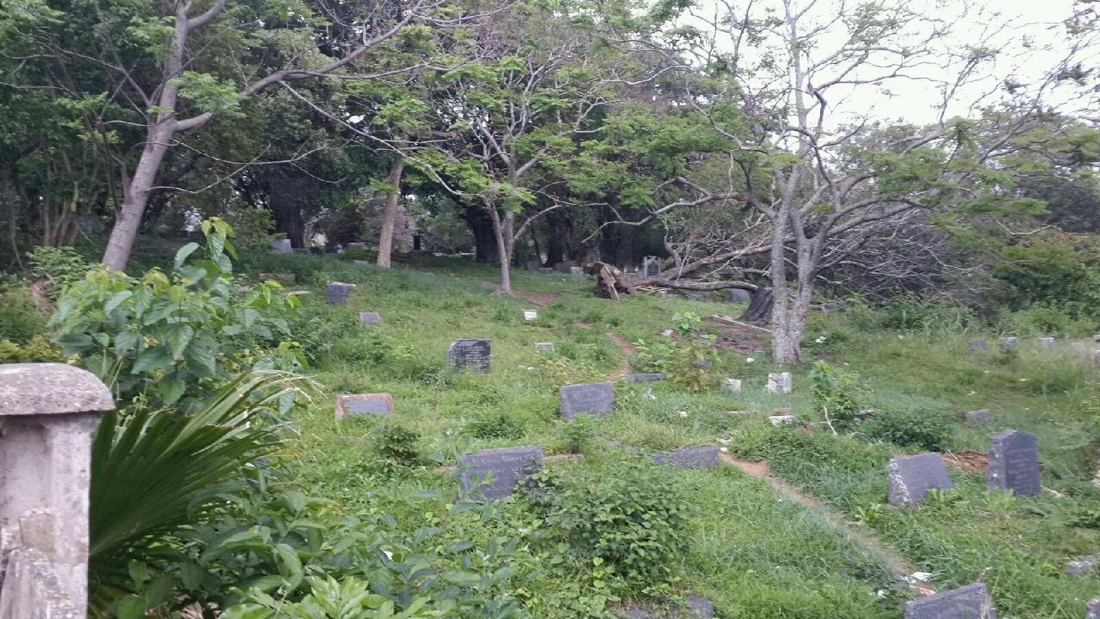 cemetery photo