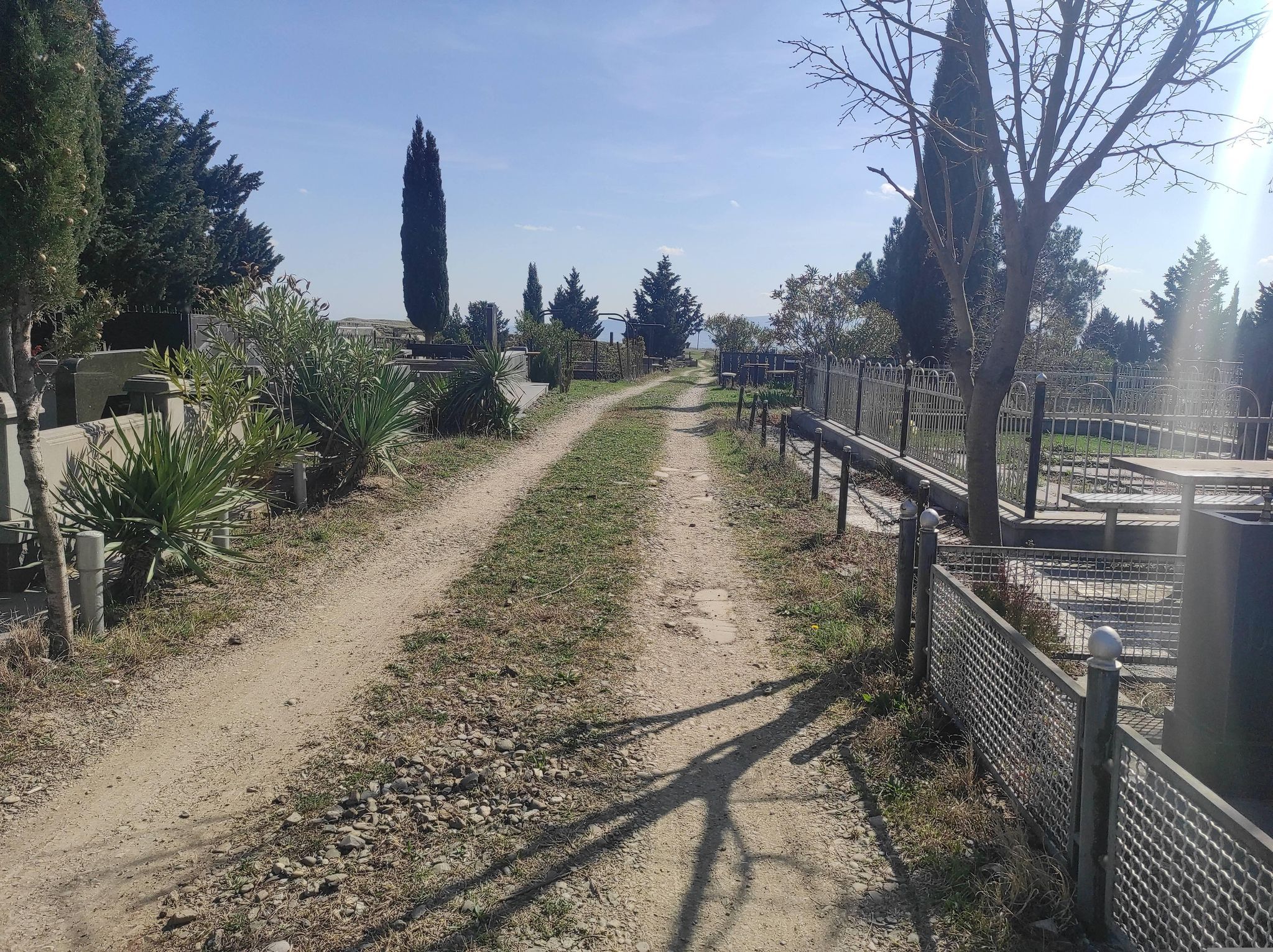 cemetery photo